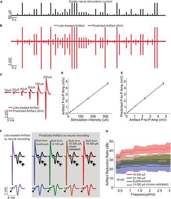 Optimal Multichannel Artifact Prediction and Removal for Neural Stimulation and Brain Machine Interfaces